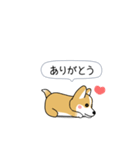 激しく尻尾をふるコーギー（個別スタンプ：8）