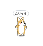 激しく尻尾をふるコーギー（個別スタンプ：13）