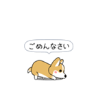 激しく尻尾をふるコーギー（個別スタンプ：14）