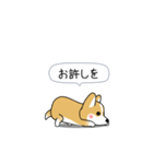 激しく尻尾をふるコーギー（個別スタンプ：16）