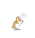 激しく尻尾をふるコーギー（個別スタンプ：18）