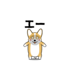 激しく尻尾をふるコーギー（個別スタンプ：19）