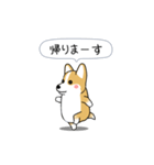 激しく尻尾をふるコーギー（個別スタンプ：21）