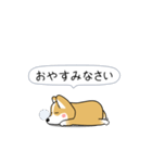 激しく尻尾をふるコーギー（個別スタンプ：24）