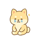 クリームしば ムードパック（個別スタンプ：12）