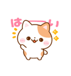 動く▶︎ねこねこにゃんこ（個別スタンプ：1）