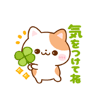 動く▶︎ねこねこにゃんこ（個別スタンプ：13）