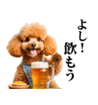 酒☆トイプードル（個別スタンプ：1）