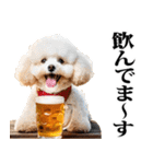 酒☆トイプードル（個別スタンプ：2）