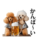 酒☆トイプードル（個別スタンプ：4）