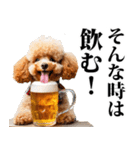 酒☆トイプードル（個別スタンプ：6）