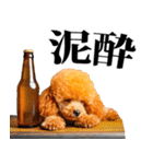 酒☆トイプードル（個別スタンプ：7）