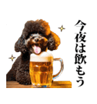 酒☆トイプードル（個別スタンプ：11）