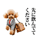 酒☆トイプードル（個別スタンプ：13）