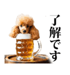 酒☆トイプードル（個別スタンプ：24）
