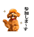 酒☆トイプードル（個別スタンプ：26）