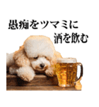 酒☆トイプードル（個別スタンプ：31）