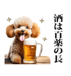 酒☆トイプードル（個別スタンプ：39）