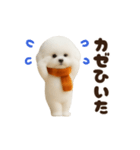 冬の日常♡ビジョンフリーゼ（個別スタンプ：14）