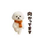 冬の日常♡ビジョンフリーゼ（個別スタンプ：21）