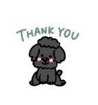 トイプードルくんの日常（個別スタンプ：4）