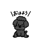 トイプードルくんの日常（個別スタンプ：6）