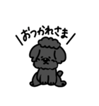 トイプードルくんの日常（個別スタンプ：8）