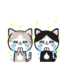 ピュアにゃん（個別スタンプ：12）