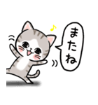 ピュアにゃん（個別スタンプ：38）