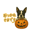 ハロウィンから新年まで福ちゃんの日常（個別スタンプ：6）