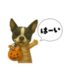 ハロウィンから新年まで福ちゃんの日常（個別スタンプ：7）