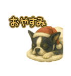 ハロウィンから新年まで福ちゃんの日常（個別スタンプ：14）