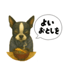 ハロウィンから新年まで福ちゃんの日常（個別スタンプ：15）