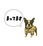 ハロウィンから新年まで福ちゃんの日常（個別スタンプ：19）
