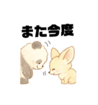 パンダとフェネック（個別スタンプ：24）
