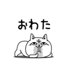 じろりねこ挨拶とか友達に送る（個別スタンプ：20）