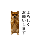 【踊る】シブ犬（個別スタンプ：10）