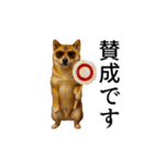 【踊る】シブ犬（個別スタンプ：15）