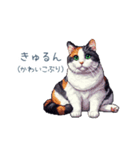 リアクションする三毛猫ポケ（個別スタンプ：1）