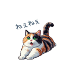 リアクションする三毛猫ポケ（個別スタンプ：2）