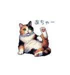 リアクションする三毛猫ポケ（個別スタンプ：4）