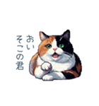 リアクションする三毛猫ポケ（個別スタンプ：5）