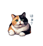 リアクションする三毛猫ポケ（個別スタンプ：6）