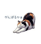 リアクションする三毛猫ポケ（個別スタンプ：7）