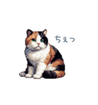 リアクションする三毛猫ポケ（個別スタンプ：10）