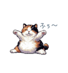 リアクションする三毛猫ポケ（個別スタンプ：11）