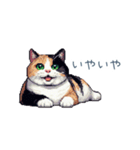 リアクションする三毛猫ポケ（個別スタンプ：14）