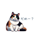 リアクションする三毛猫ポケ（個別スタンプ：15）