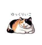 リアクションする三毛猫ポケ（個別スタンプ：16）