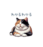 リアクションする三毛猫ポケ（個別スタンプ：22）